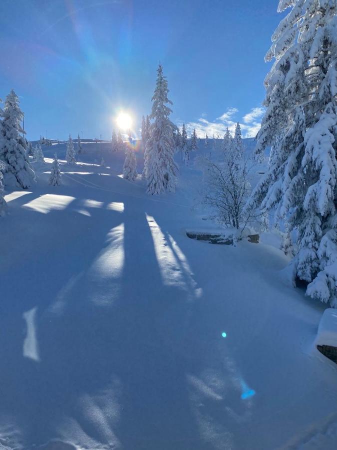 Olimpik House Jahorina Villa ภายนอก รูปภาพ