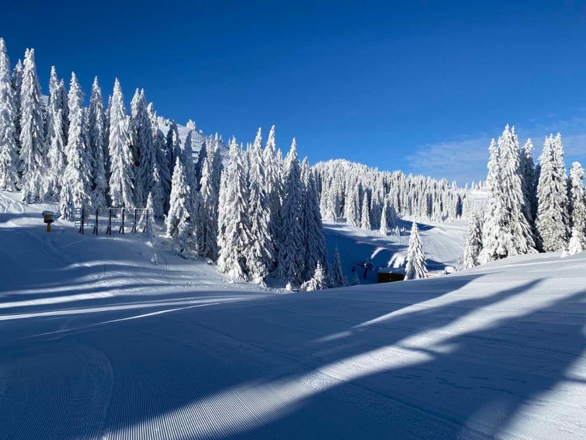 Olimpik House Jahorina Villa ภายนอก รูปภาพ
